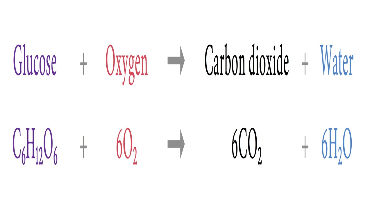 perfect-symbol-equation-for-respiration-a-level-maths-pearson-formula